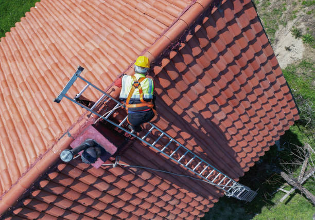 Best Roof Maintenance and Cleaning  in Palmetto Bay, FL