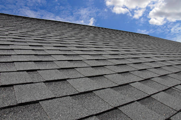  Palmetto Bay, FL Roofing Pros