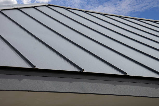 Best Roof Ventilation Installation  in Palmetto Bay, FL